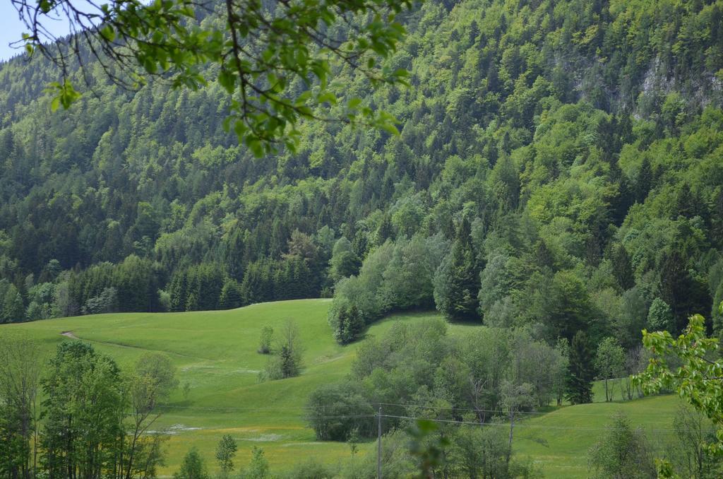 Bauernhof Konig Villa Anger  Exteriör bild