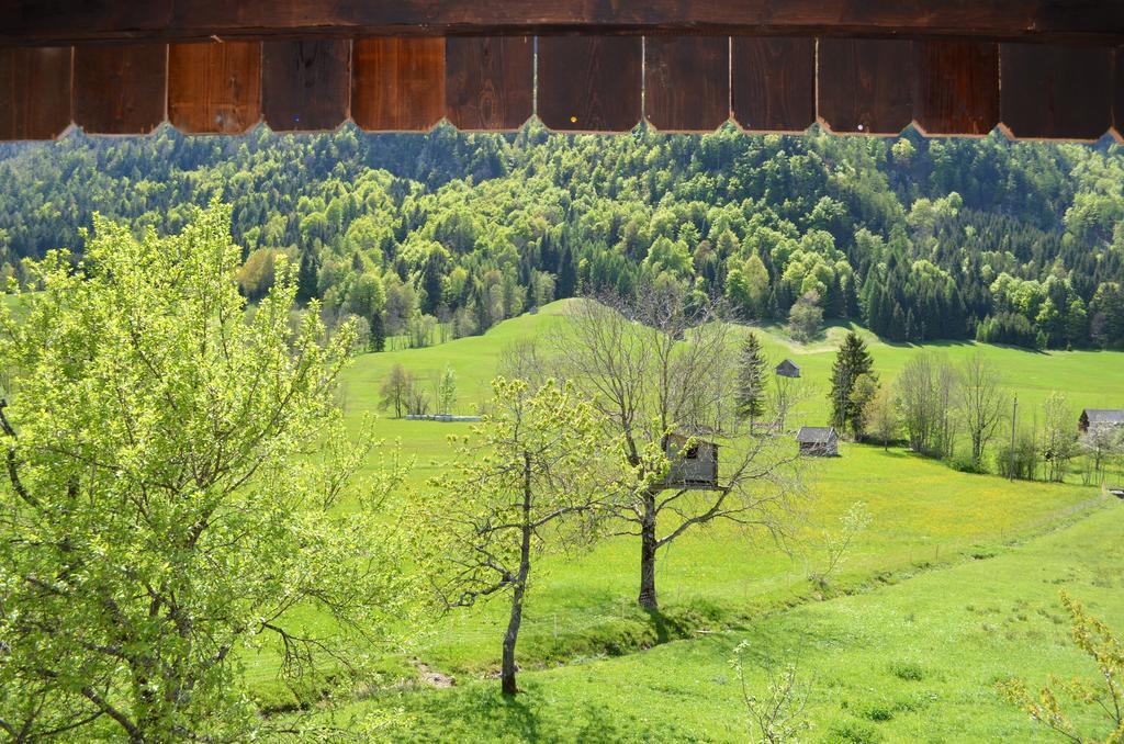 Bauernhof Konig Villa Anger  Exteriör bild