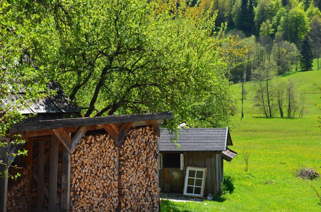 Bauernhof Konig Villa Anger  Exteriör bild